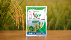 OXY