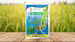 AZO-BEM